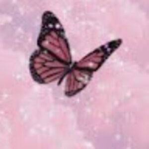 Meet your Posher, Breanna